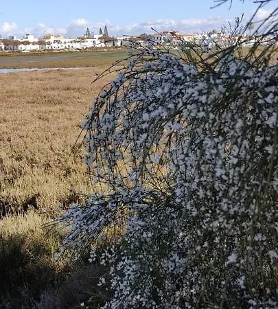 Duplex * Ayamonte